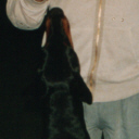 Micky beim Dogsitting