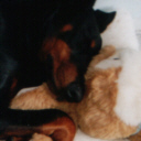 Meine Kuschelhase!!!