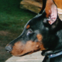 Bei Holly im Garten.